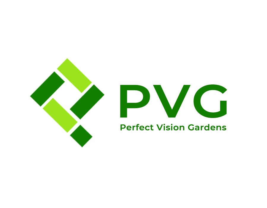PVG - Perfect Vision